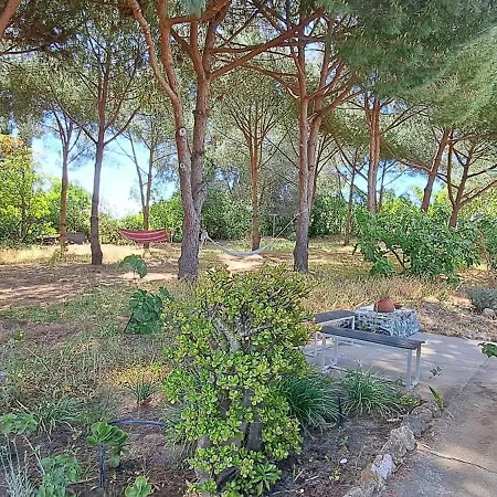 A Charming Place To Relax For Two Appartement Lagoa (Algarve)